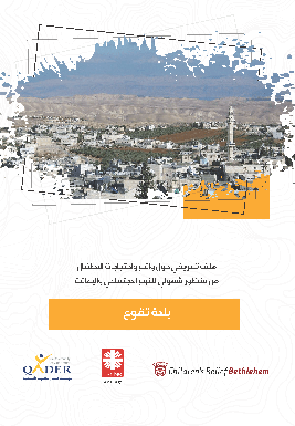 بلدة تقوع: ملف تعريفي حول واقع واحتياجات الأطفال من منظور شمولي للنوع الاجتماعي والإعاقة